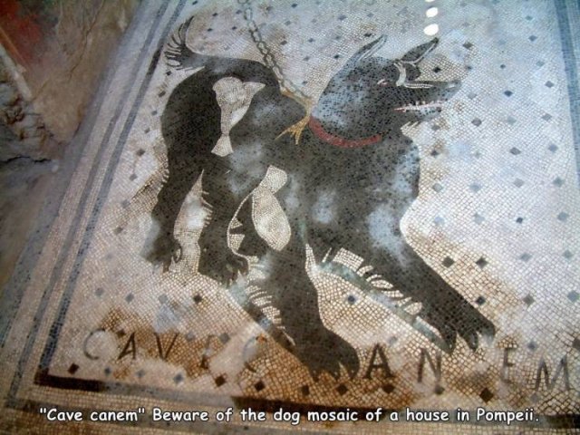Acid Picdump. Part 1 (94 pics)
