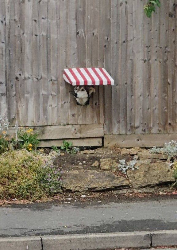 Acid Picdump. Part 1 (94 pics)