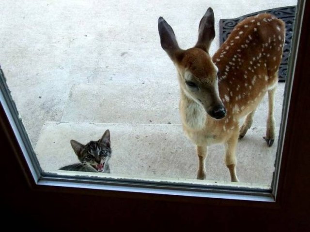 Acid Picdump. Part 1 (94 pics)