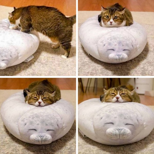 Life Is Beautiful (50 pics) Life Is Beautiful (50 pics)