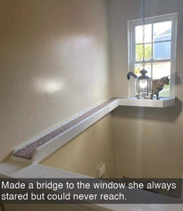 Life Is Beautiful (50 pics)