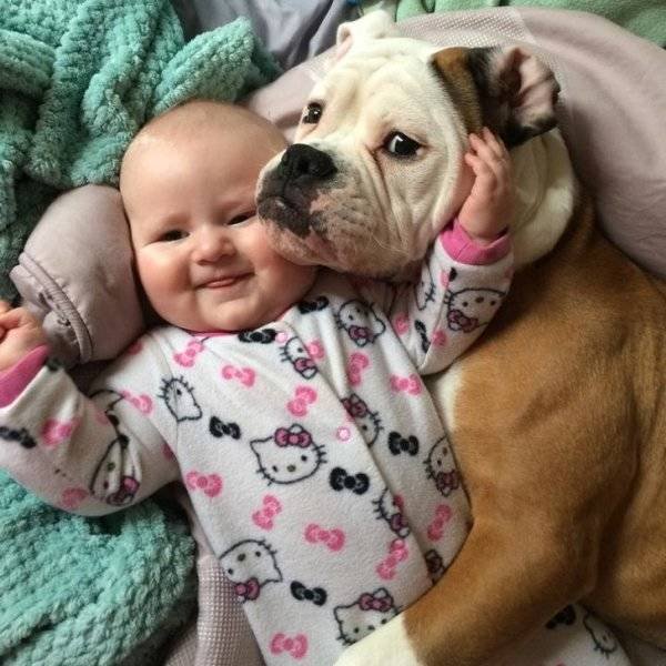 Life Is Beautiful (50 pics)