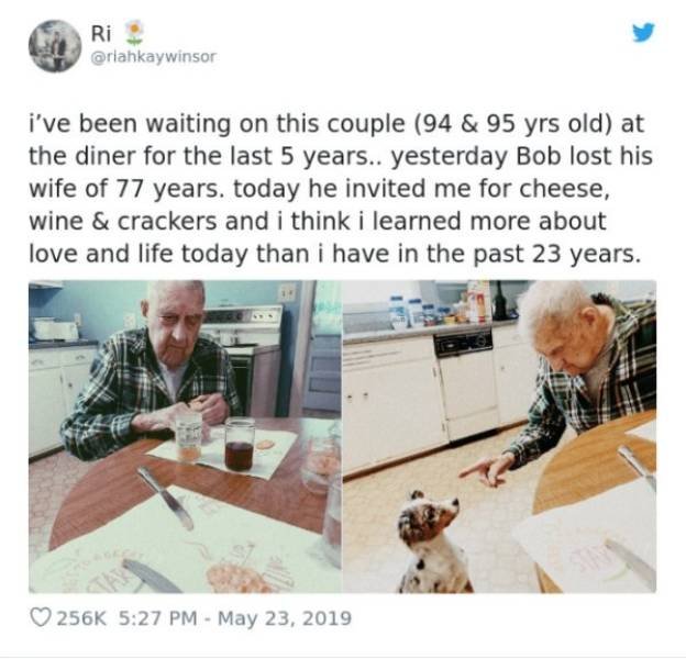 Life Is Beautiful (50 pics)