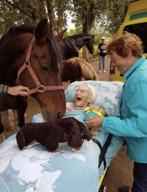 Life Is Beautiful (50 pics)