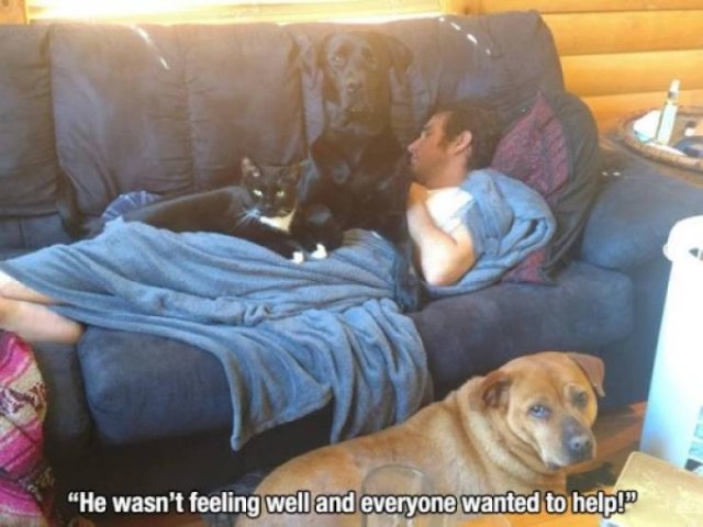 Life Is Beautiful (50 pics)