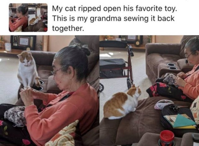 Life Is Beautiful (50 pics)