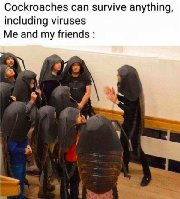 Quarantine Memes (28 pics)