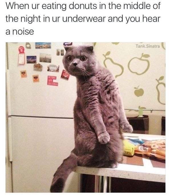 Acid Picdump. Part 2 (94 pics)