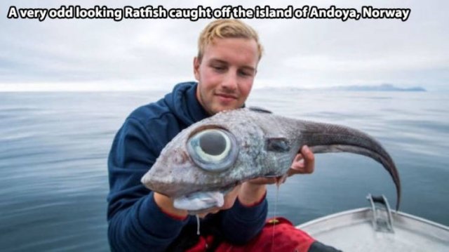 Acid Picdump. Part 2 (94 pics)
