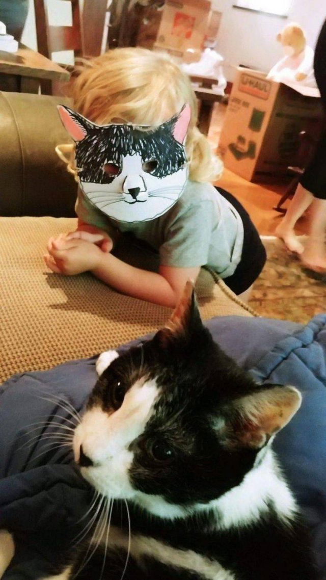 Acid Picdump. Part 1 (95 pics)