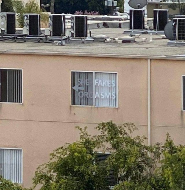 Acid Picdump. Part 1 (95 pics)