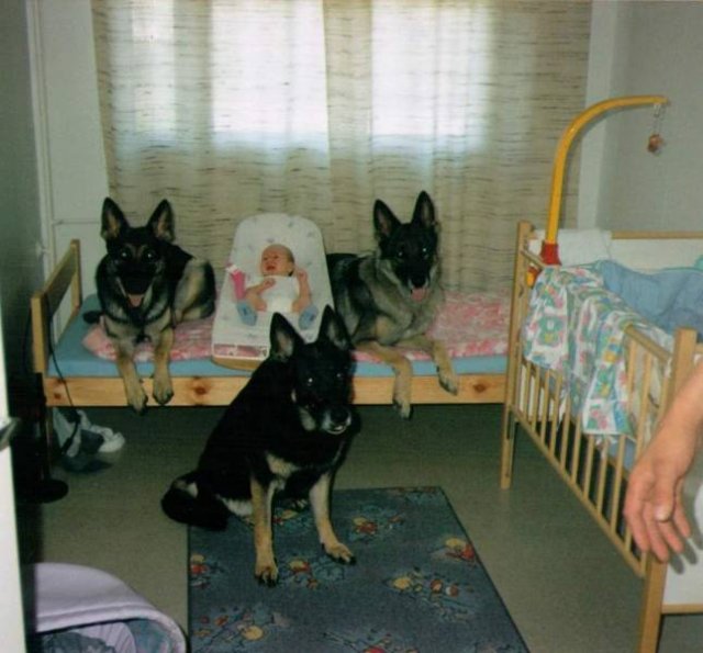 Acid Picdump. Part 1 (95 pics)