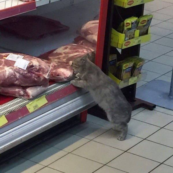 Acid Picdump. Part 1 (95 pics)