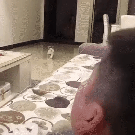 Acid Gifdump, June 10 (25 gifs)