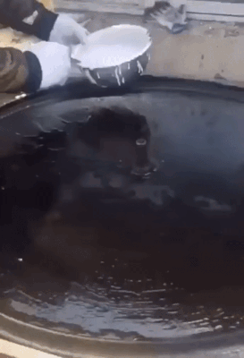 Acid Gifdump, June 10 (25 gifs)