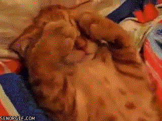 Acid Gifdump, June 10 (25 gifs)