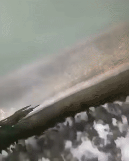 Acid Gifdump, June 10 (25 gifs)