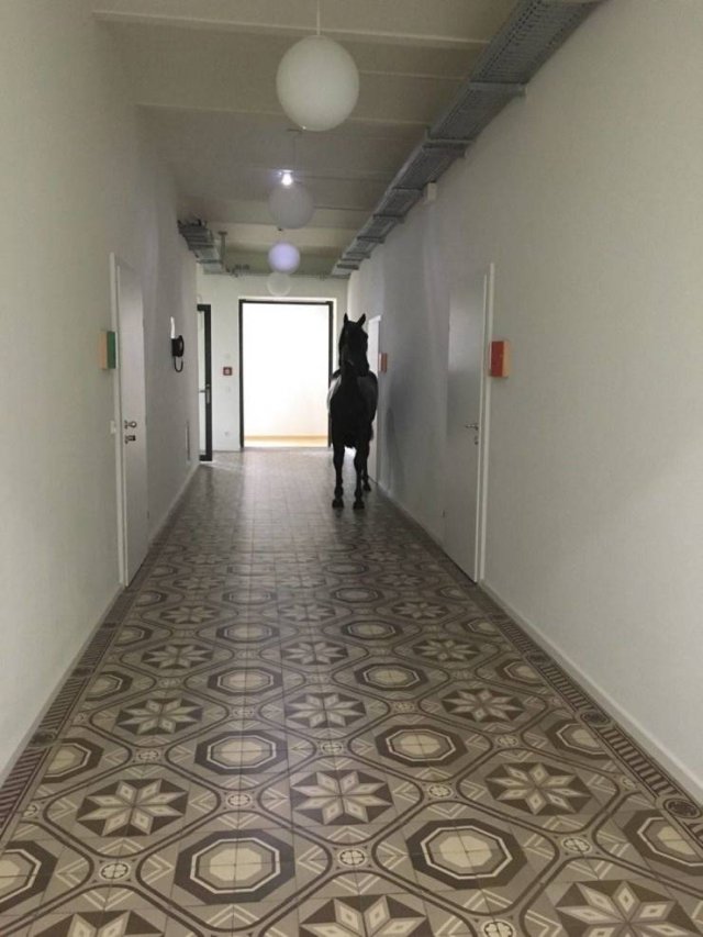 Explanation Needed (50 pics)