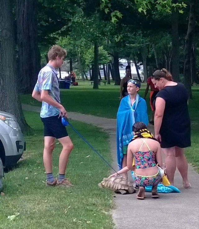 Explanation Needed (50 pics)