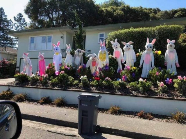 Explanation Needed (50 pics)