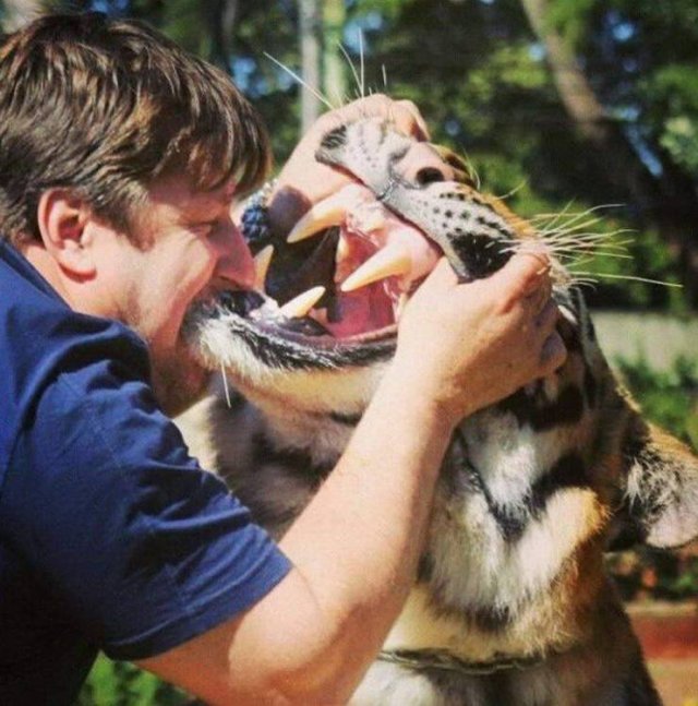 Explanation Needed (50 pics)