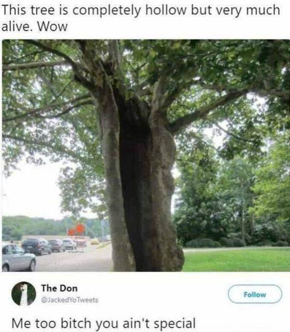 Dirty Humor (53 pics)