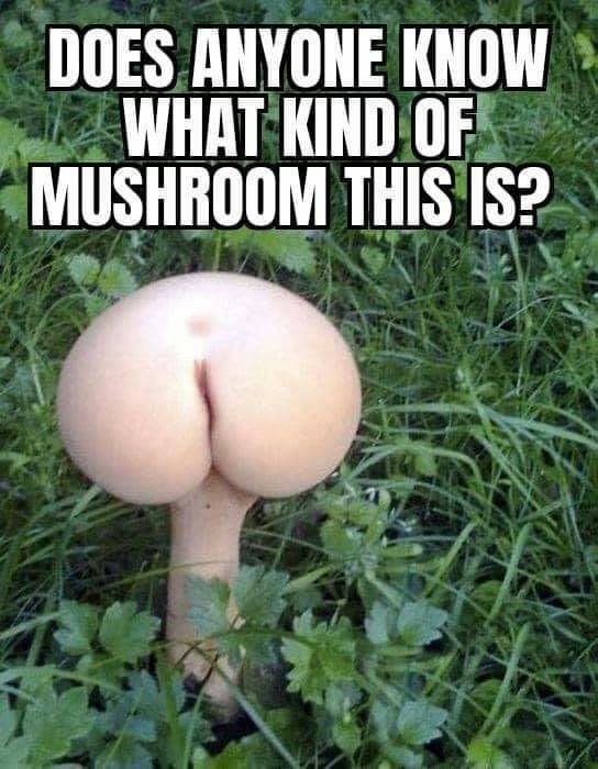 Dirty Humor (53 pics)
