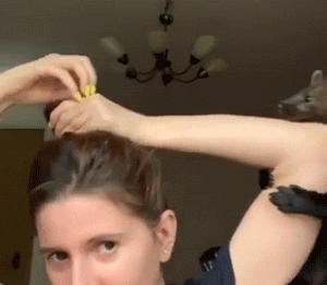 Animal GIFs (14 gifs)