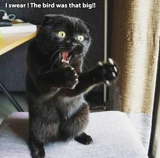 Acid Picdump. Part 2 (94 pics)