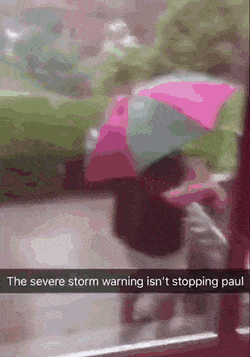 Acid Gifdump, June 11 (25 gifs)