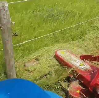 Acid Gifdump, June 11 (25 gifs)