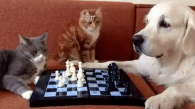Acid Gifdump, June 11 (25 gifs)