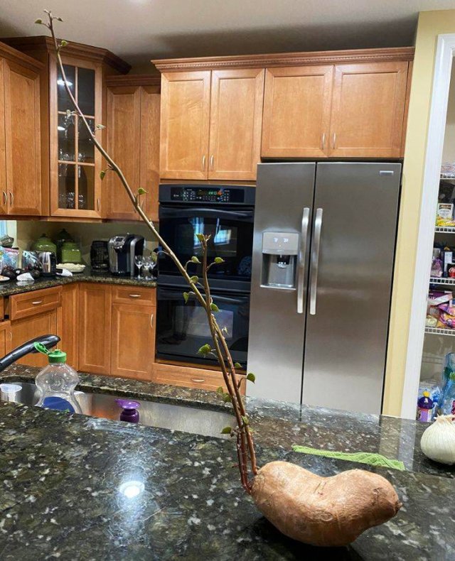 Unbelievable Changes (19 pics)