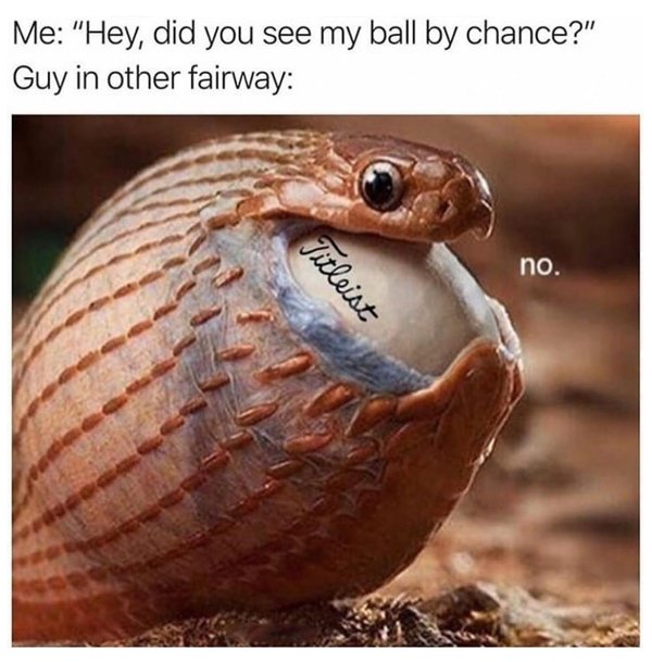 Golf Memes (33 pics)