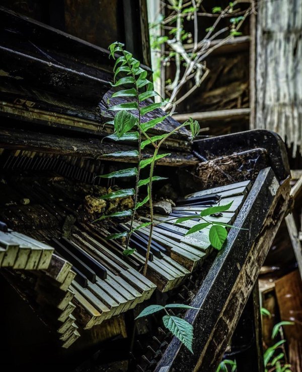 Abandoned Places (34 pics)