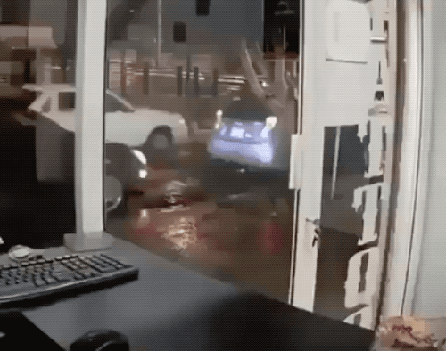 Wins And Fails (15 gifs)