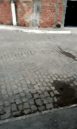 Wins And Fails (15 gifs)