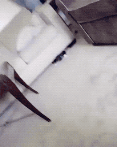 Wins And Fails (15 gifs)