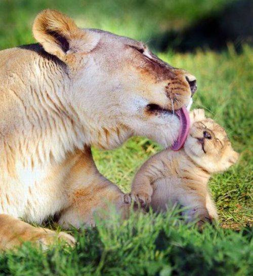 Acid Picdump. Part 2 (91 pics)
