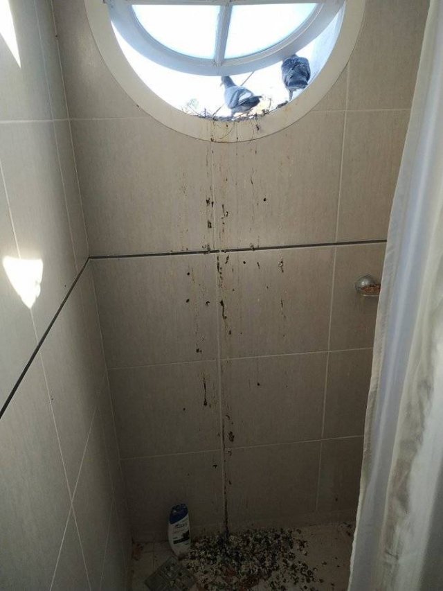 Acid Picdump. Part 2 (93 pics)