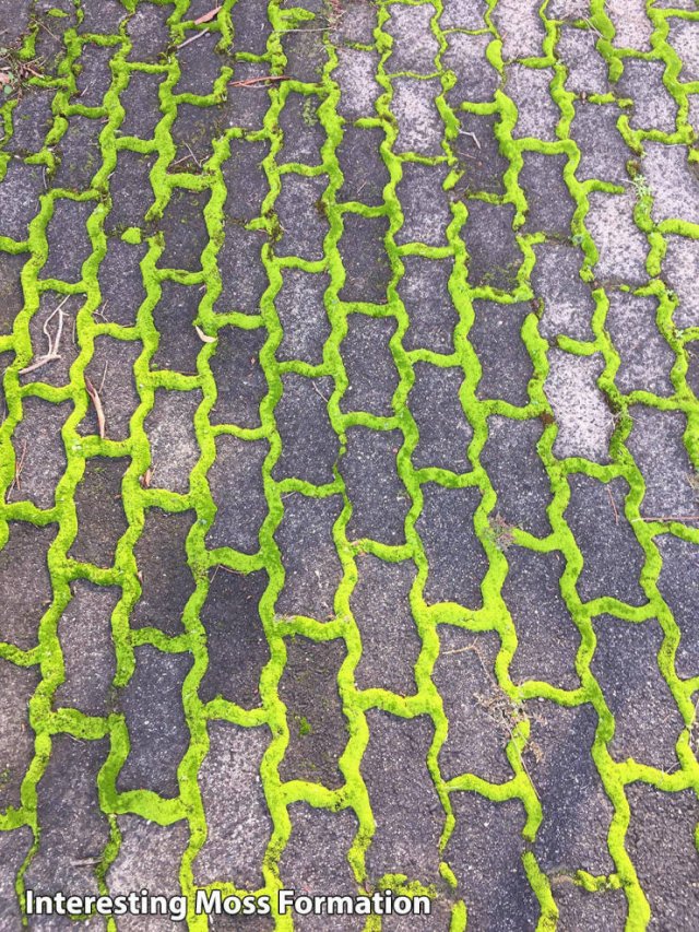 Acid Picdump. Part 1 (93 pics)