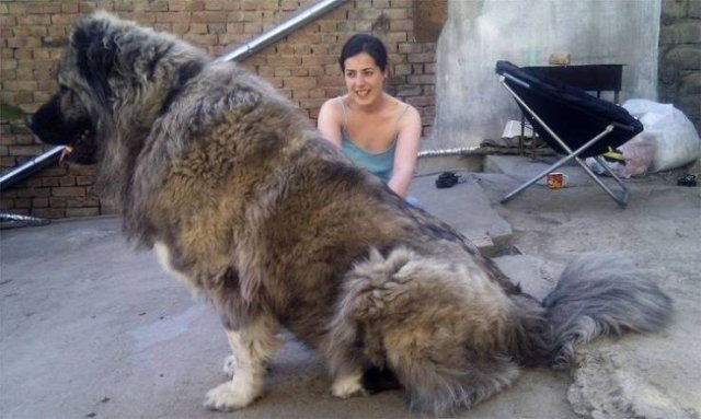 Acid Picdump. Part 2 (91 pics)