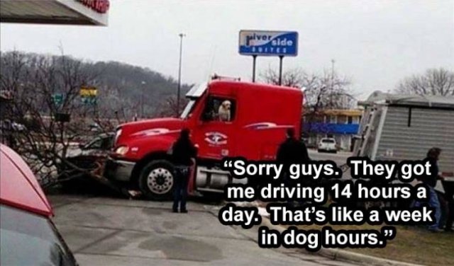 Acid Picdump. Part 2 (93 pics)