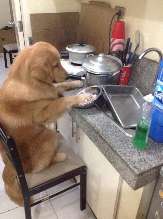 Acid Picdump. Part 1 (93 pics)