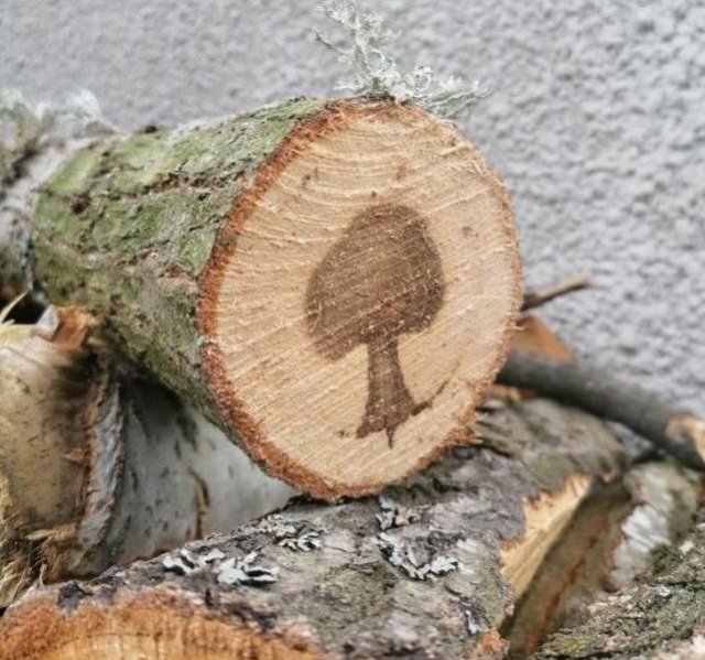Amazing Nature (22 pics)