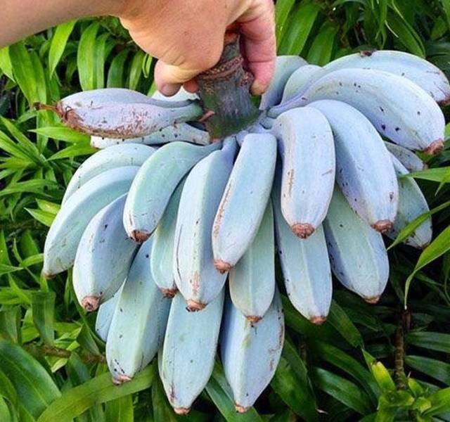 Amazing Nature (22 pics)