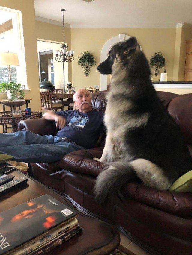 Comparison Matters (19 pics) Comparison Matters (19 pics)