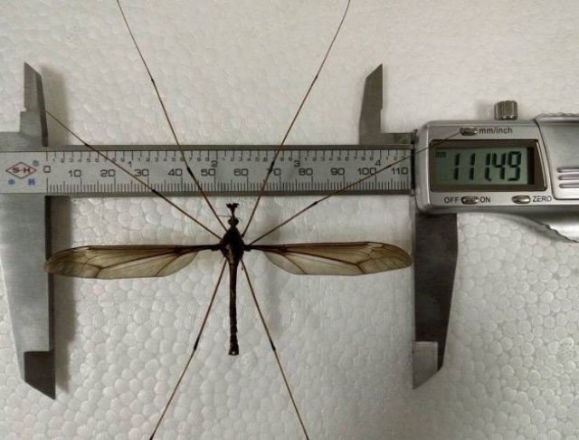 Comparison Matters (19 pics) Comparison Matters (19 pics)