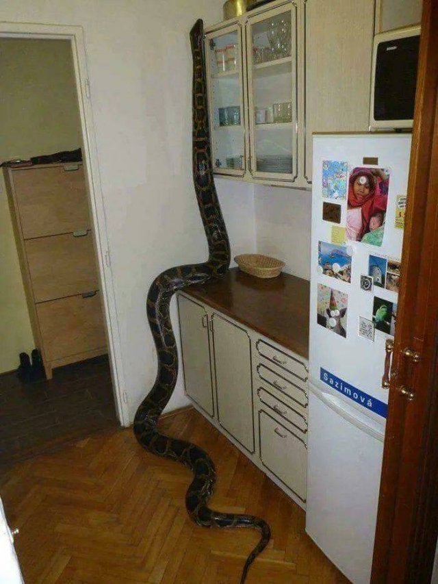Acid Picdump. Part 1 (93 pics)