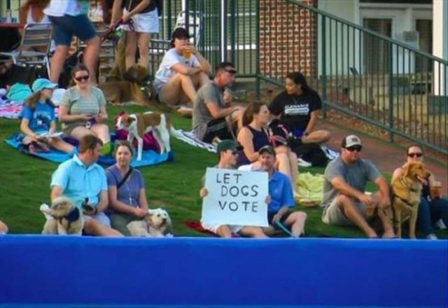 Acid Picdump. Part 2 (91 pics)